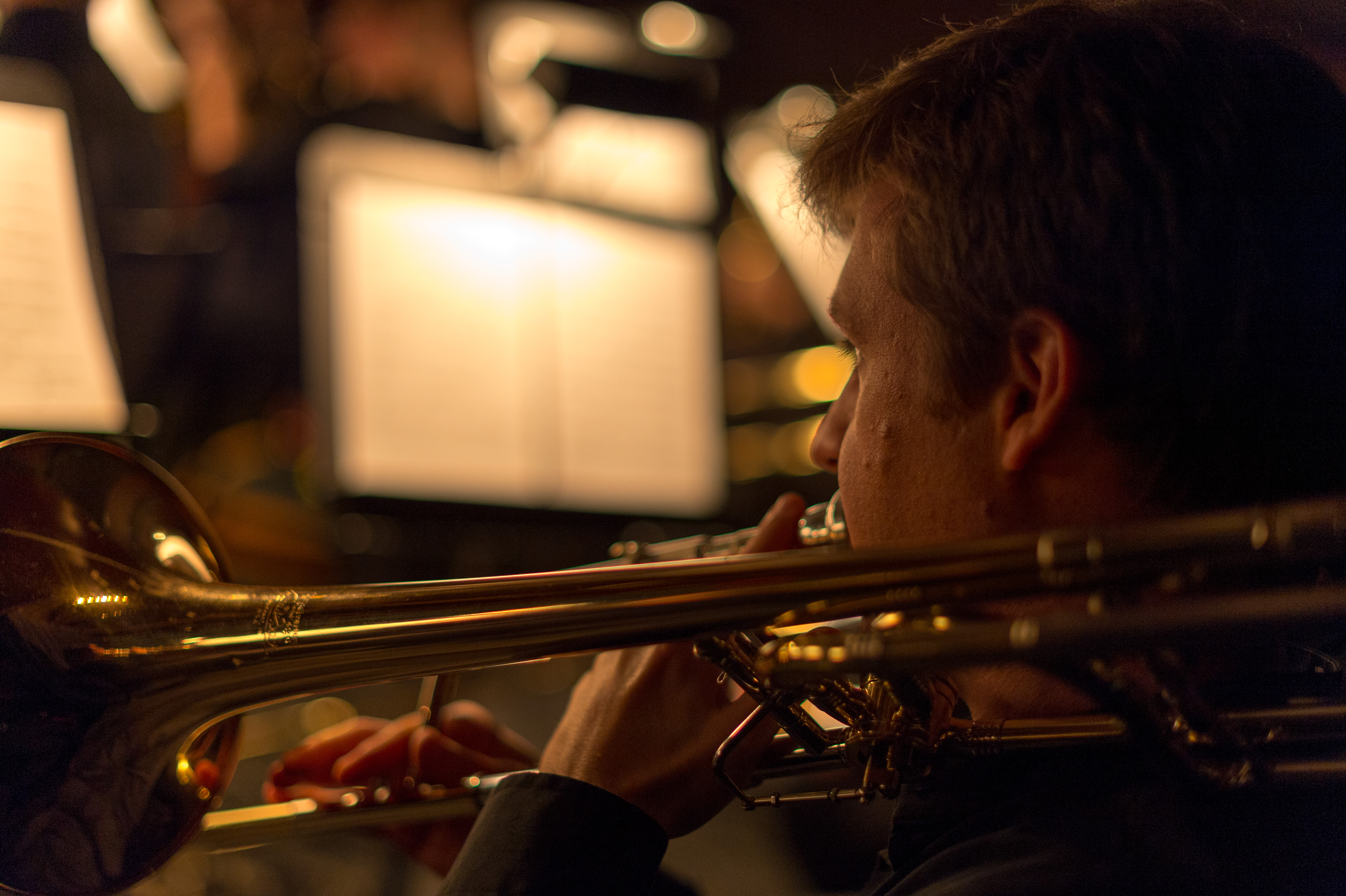 20141221_nutcracker_1027